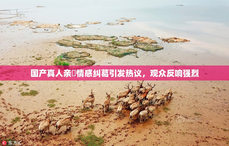 国产真人亲妺情感纠葛引发热议，观众反响强烈