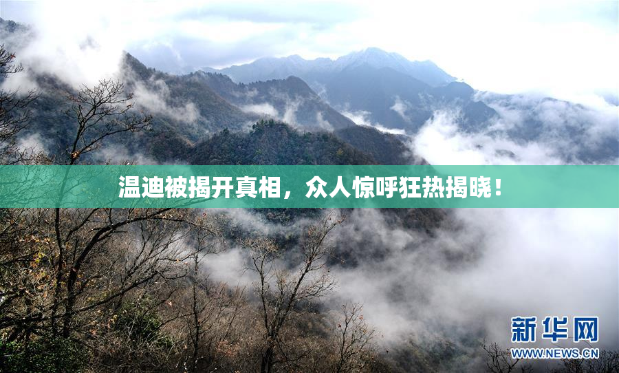 温迪被揭开真相，众人惊呼狂热揭晓！