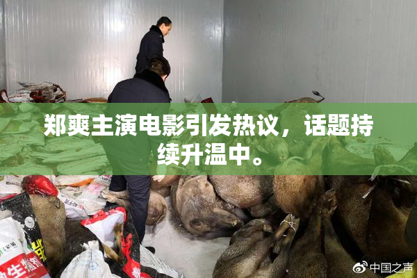 郑爽主演电影引发热议，话题持续升温中。