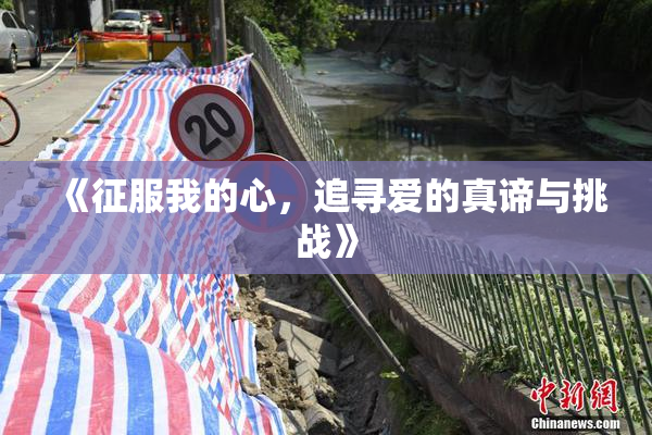 《征服我的心，追寻爱的真谛与挑战》