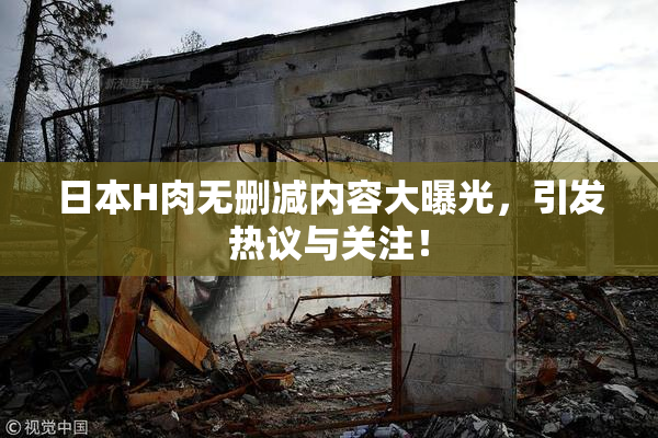 日本H肉无删减内容大曝光，引发热议与关注！
