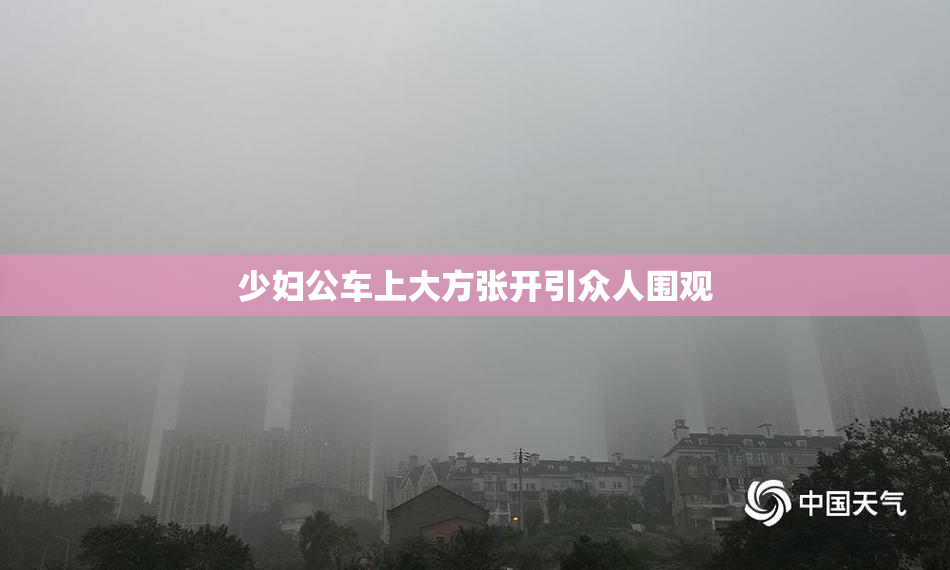少妇公车上大方张开引众人围观