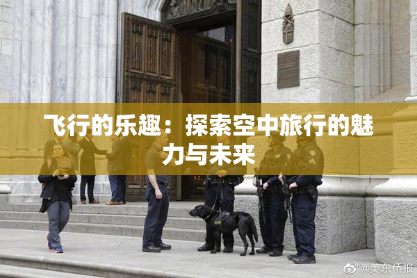 飞行的乐趣：探索空中旅行的魅力与未来