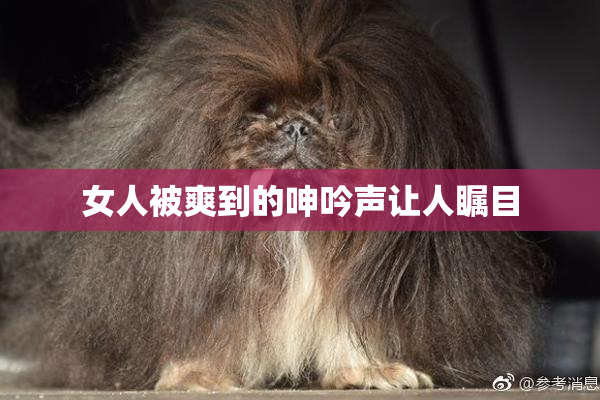 女人被爽到的呻吟声让人瞩目