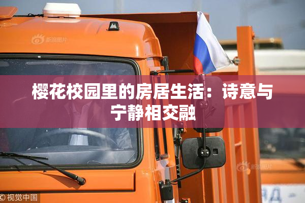 樱花校园里的房居生活：诗意与宁静相交融