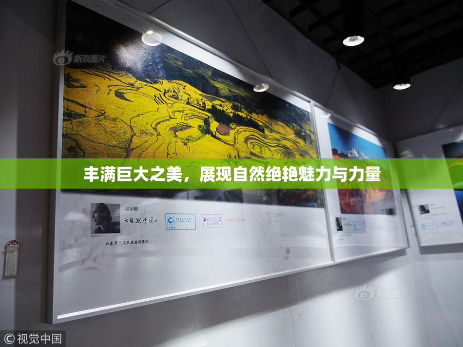 丰满巨大之美，展现自然绝艳魅力与力量