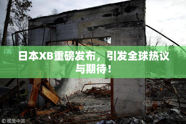 日本XB重磅发布，引发全球热议与期待！