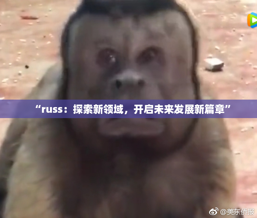 “russ：探索新领域，开启未来发展新篇章”