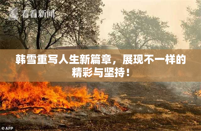 韩雪重写人生新篇章，展现不一样的精彩与坚持！