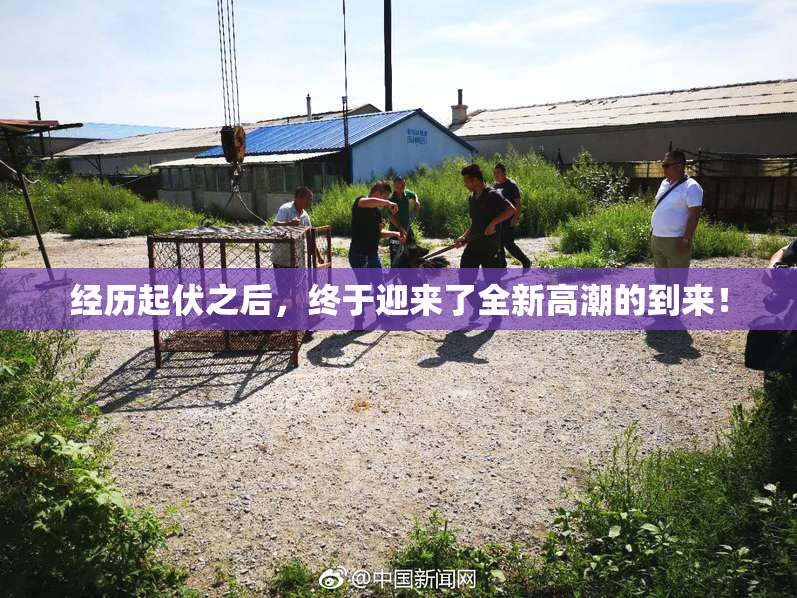 经历起伏之后，终于迎来了全新高潮的到来！