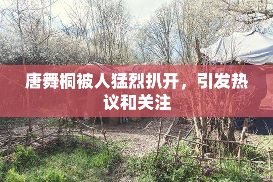 唐舞桐被人猛烈扒开，引发热议和关注