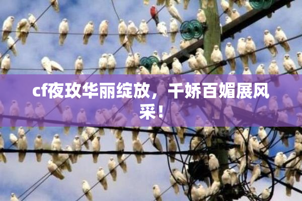 cf夜玫华丽绽放，千娇百媚展风采！