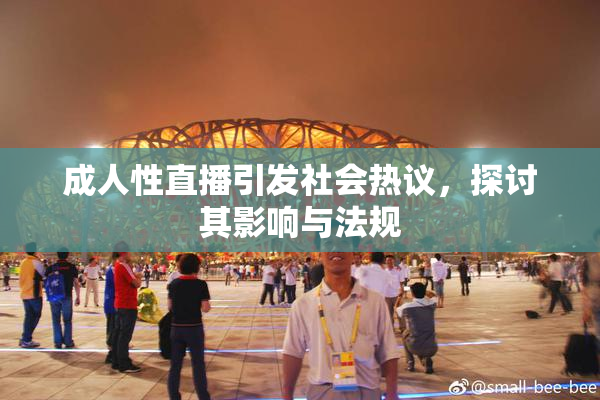 成人性直播引发社会热议，探讨其影响与法规