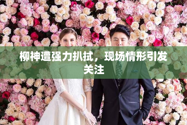 柳神遭强力扒拭，现场情形引发关注