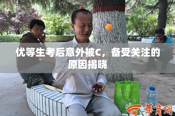 优等生考后意外被C，备受关注的原因揭晓