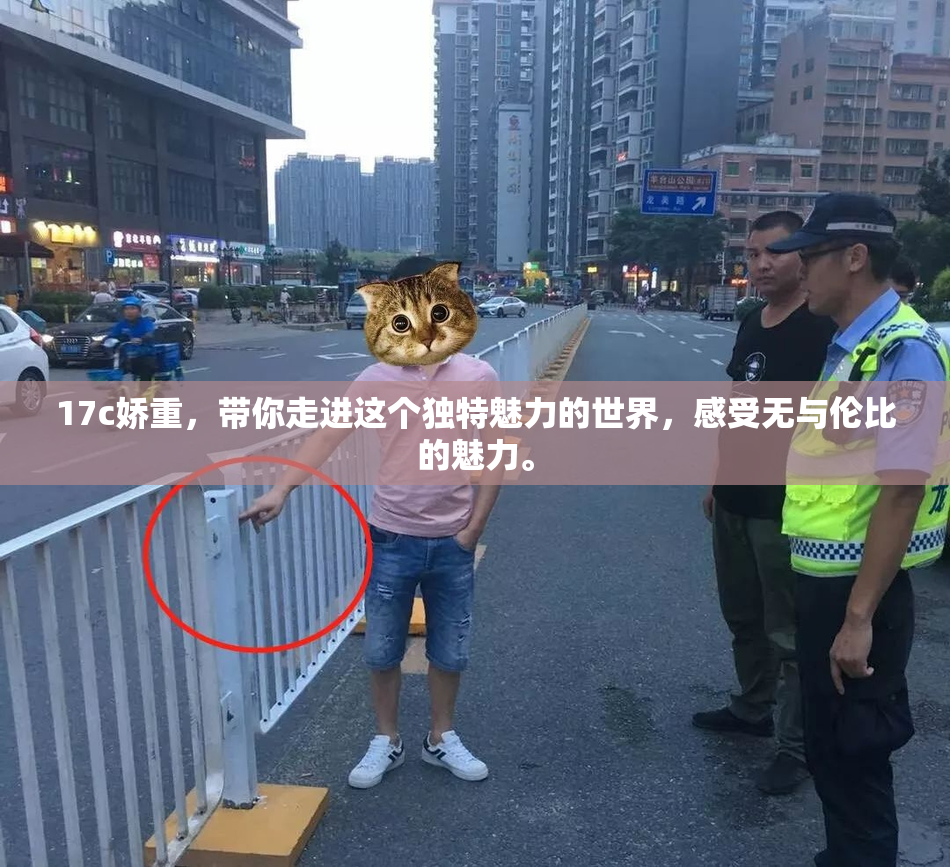 17c娇重，带你走进这个独特魅力的世界，感受无与伦比的魅力。