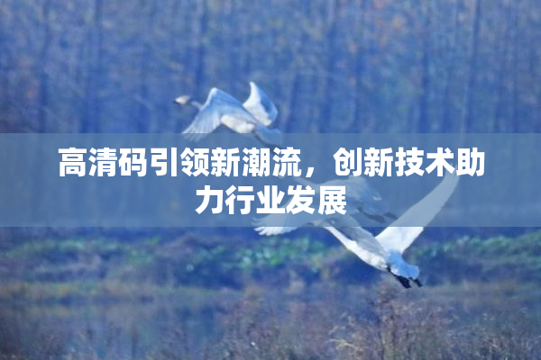 高清码引领新潮流，创新技术助力行业发展