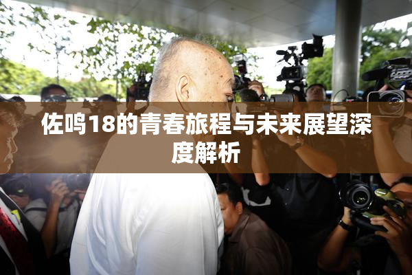 佐鸣18的青春旅程与未来展望深度解析