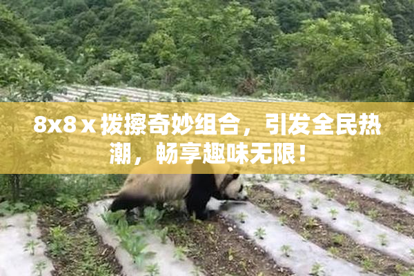 8x8ⅹ拨擦奇妙组合，引发全民热潮，畅享趣味无限！