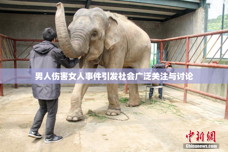 男人伤害女人事件引发社会广泛关注与讨论