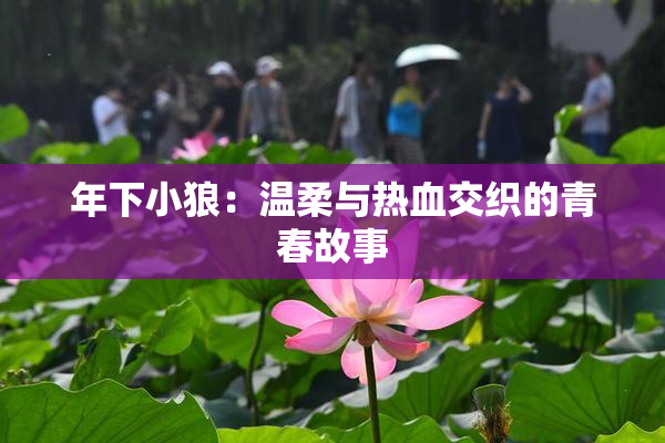 年下小狼：温柔与热血交织的青春故事