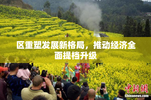 区重塑发展新格局，推动经济全面提档升级