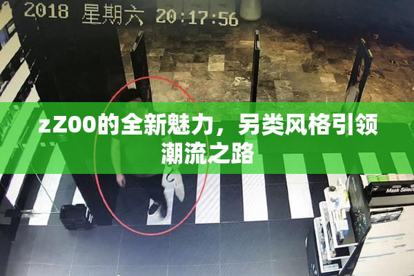 zZ00的全新魅力，另类风格引领潮流之路