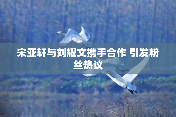 宋亚轩与刘耀文携手合作 引发粉丝热议