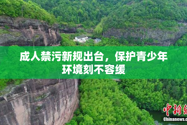 成人禁污新规出台，保护青少年环境刻不容缓