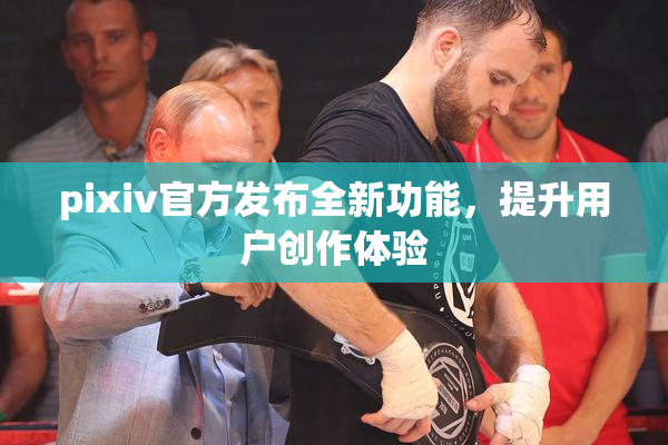 pixiv官方发布全新功能，提升用户创作体验
