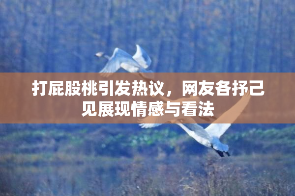 打屁股桃引发热议，网友各抒己见展现情感与看法