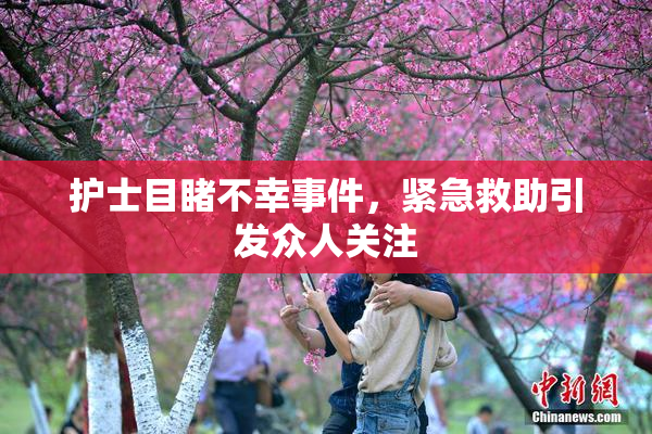 护士目睹不幸事件，紧急救助引发众人关注