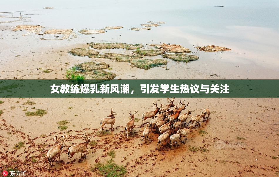 女教练爆乳新风潮，引发学生热议与关注