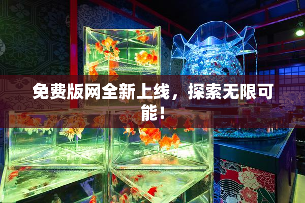 免费版网全新上线，探索无限可能！