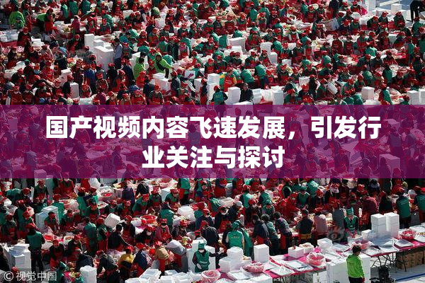 国产视频内容飞速发展，引发行业关注与探讨