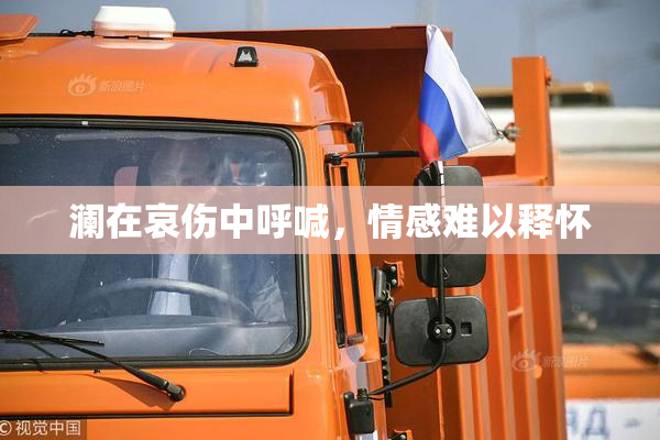 澜在哀伤中呼喊，情感难以释怀