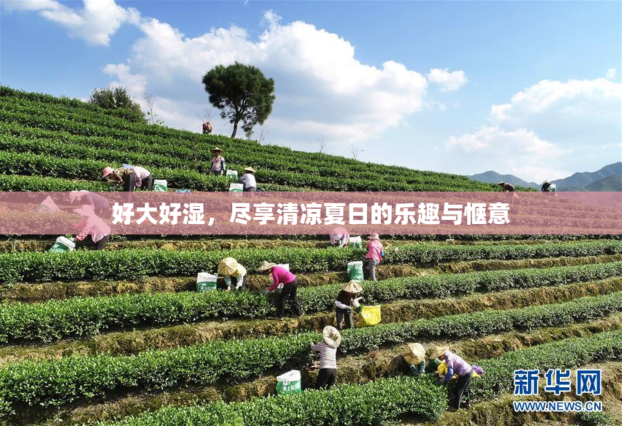 好大好湿，尽享清凉夏日的乐趣与惬意