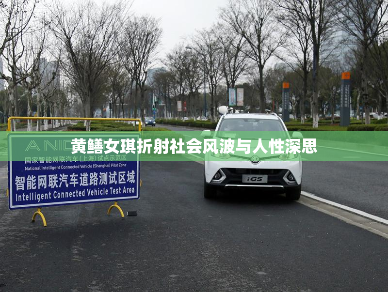 黄鳝女琪折射社会风波与人性深思