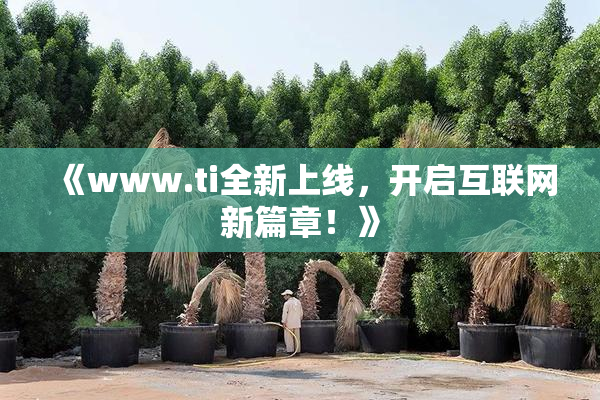 《www.ti全新上线，开启互联网新篇章！》