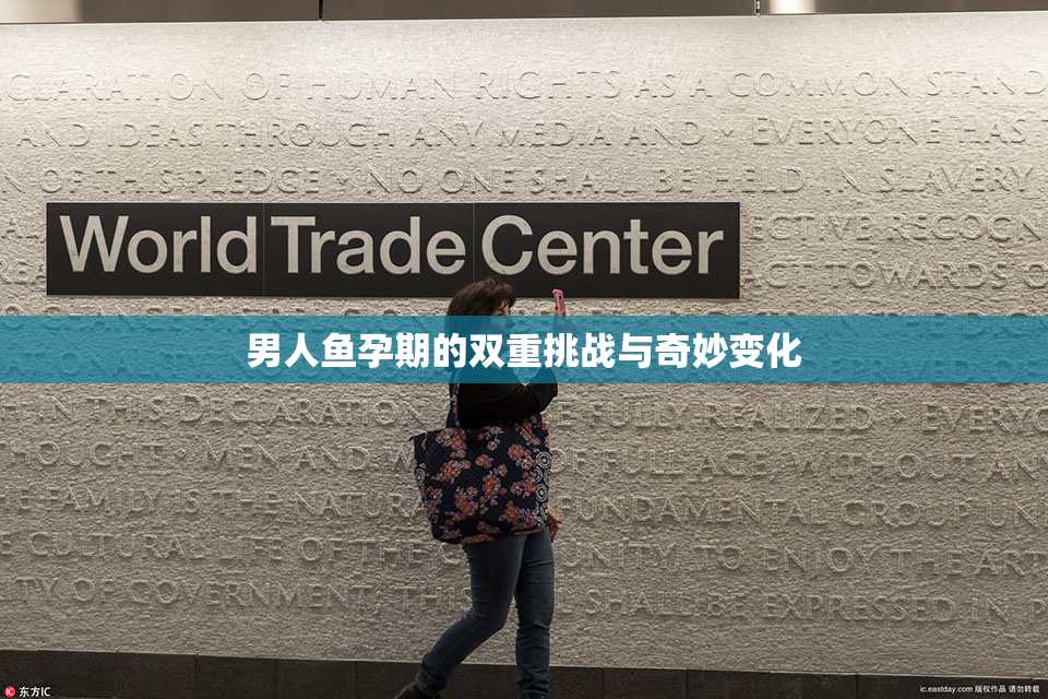 男人鱼孕期的双重挑战与奇妙变化