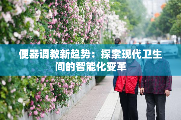 便器调教新趋势：探索现代卫生间的智能化变革