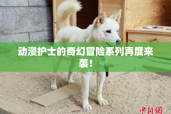 动漫护士的奇幻冒险系列再度来袭！