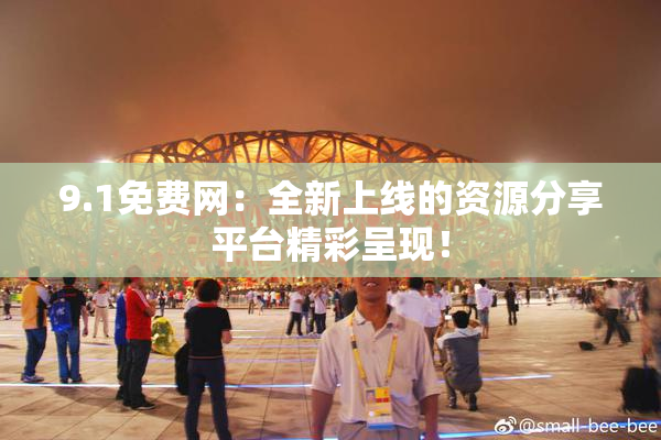 9.1免费网：全新上线的资源分享平台精彩呈现！