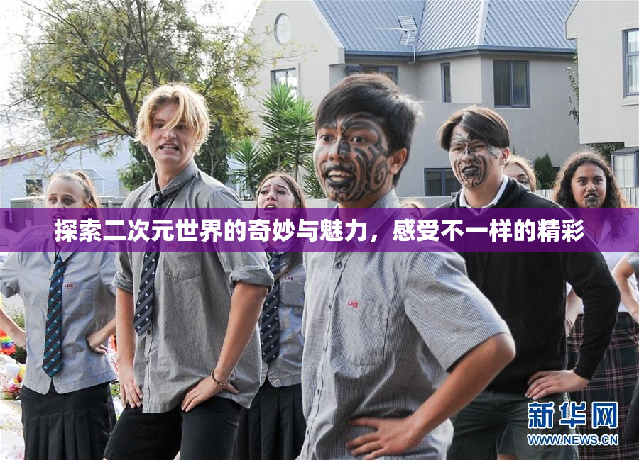 探索二次元世界的奇妙与魅力，感受不一样的精彩