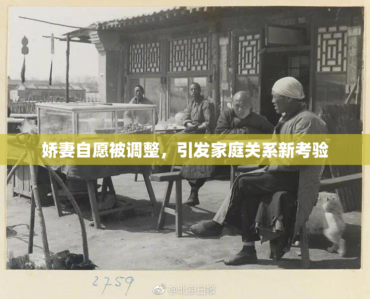 娇妻自愿被调整，引发家庭关系新考验