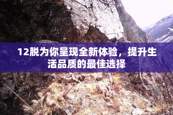 12脱为你呈现全新体验，提升生活品质的最佳选择