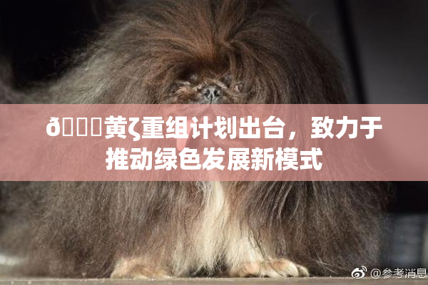 🔞黄ζ重组计划出台，致力于推动绿色发展新模式