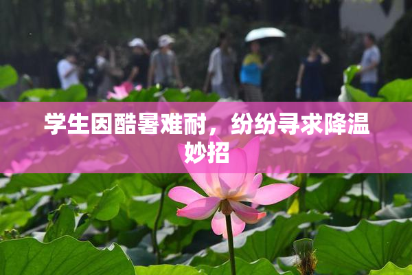 学生因酷暑难耐，纷纷寻求降温妙招