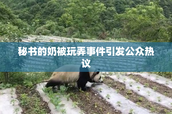 秘书的奶被玩弄事件引发公众热议