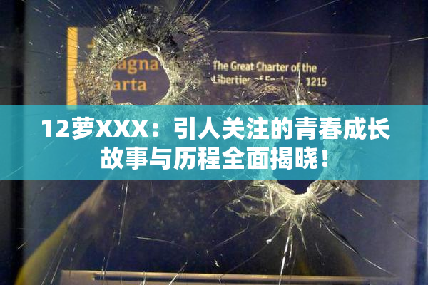 12萝XXX：引人关注的青春成长故事与历程全面揭晓！